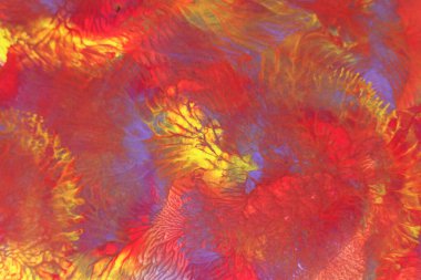 Akrilik boyalı renkli soyut arkaplan