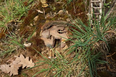 Ormandaki küçük ahşap peri evi, yakın plan. 