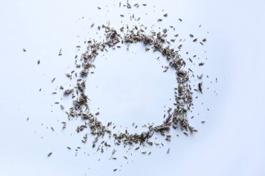 Beyaz arka planda kurumuş çiçek çerçevesi. düz alan, üst görünüm, kopyala boşluk.