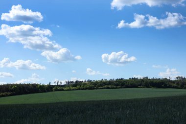 Tarlaları ve mavi gökyüzü olan tarım arazisi.