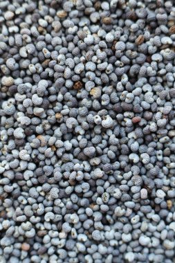 Haşhaş tohumları. makro 