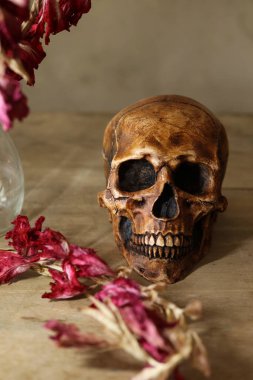 Ahşap arka planda insan kafatası ve kuru çiçeklerle dolu bir hayat. Cadılar Bayramı konsepti