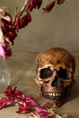 Ahşap arka planda insan kafatası ve kuru çiçeklerle dolu bir hayat. Cadılar Bayramı konsepti