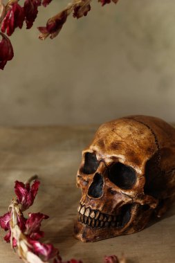 Ahşap arka planda insan kafatası ve kuru çiçeklerle dolu bir hayat. Cadılar Bayramı konsepti