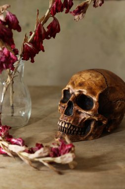 Ahşap arka planda insan kafatası ve kuru çiçeklerle dolu bir hayat. Cadılar Bayramı konsepti