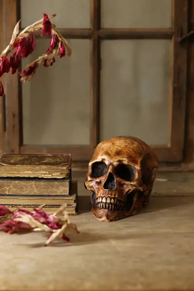 stock image halloween still life with human skull, pile of vintage books and dried red flowers