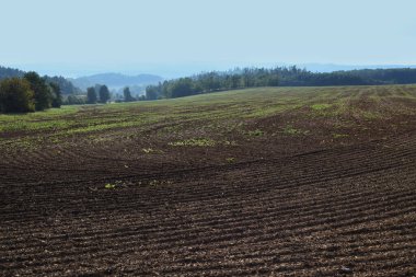 Tarlaları ve ormanları arka planda olan tarım arazisi.