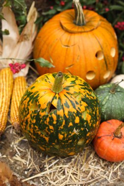 samanlıkta kabak ve kabak, sonbahar hasadı