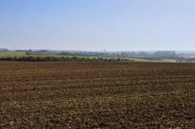 tarlalı tarım manzarası