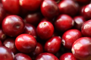 Kırmızı yaban mersinlerinin yakın görüntüsü