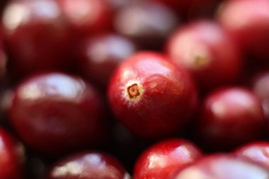 Kırmızı yaban mersinlerinin yakın görüntüsü