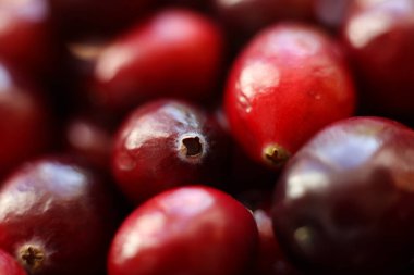 Kırmızı yaban mersinlerinin yakın görüntüsü