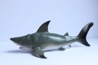 yakın plan - gri arkaplanda beyaz köpekbalığı oyuncağı