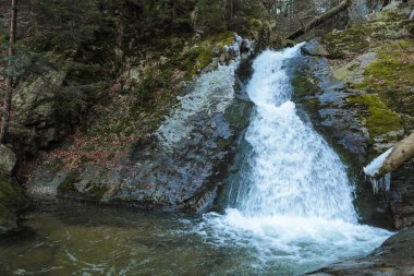 Kışın ormanda şelalesi olan bir manzara