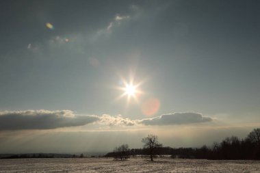 Ağaçlarla kaplı kış manzarası ve gökte güneş. Kış arkaplanı.