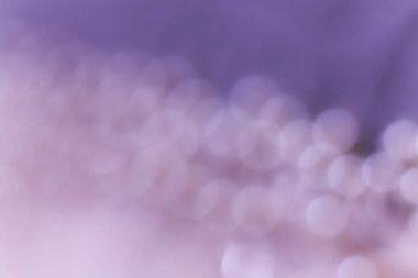 Soyut bokeh arkaplanı. Mor ve beyaz bokeh.