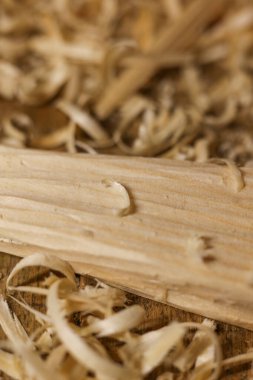 Marangozun tezgahı, ahşap talaşı, yakın plan.