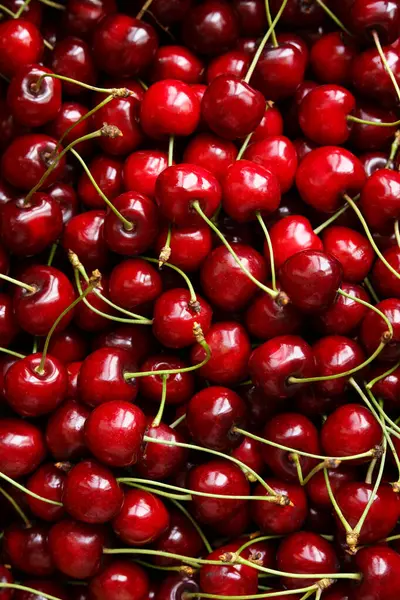 Kiraz arkaplanı. Taze kırmızı kirazların üst görüntüsü.