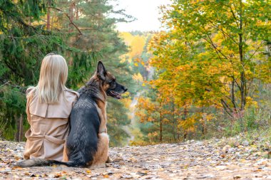 Back view of sitting woman and dog in autumn wood on the mountai