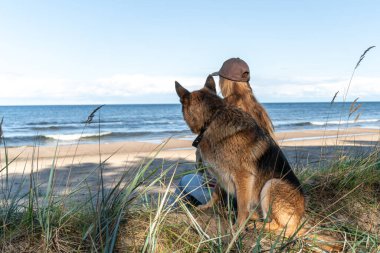 Deniz kenarında köpeklerle oturan bir kadın.