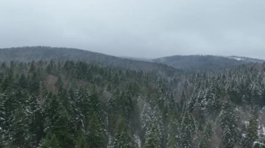 Doğa manzarası. Orman ve kışın dağlar