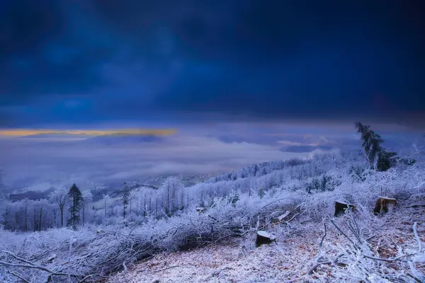 Θέα Χειμερινό Τοπίο Από Την Τσεχική Δημοκρατία — Φωτογραφία Αρχείου