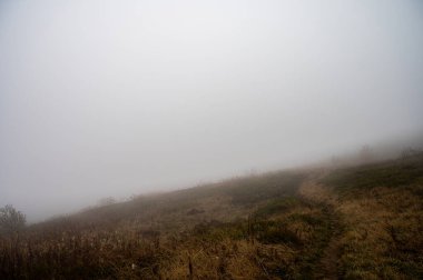 Sisli dağlar, orman. Ukrayna dağları, sis 