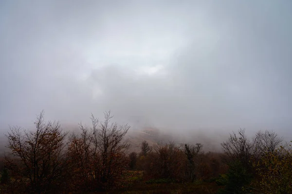 Montagnes Brumeuses Forêt Montagnes Ukrainiennes Brouillard — Photo