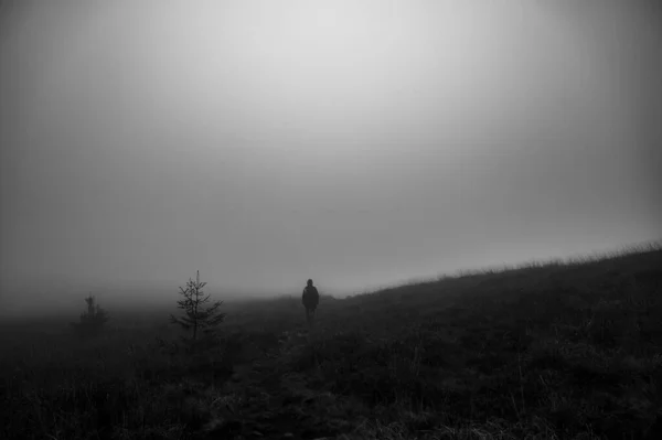 Preto Branco Foto Clássica Montanhas Nebulosas Floresta Homem Com Costas — Fotografia de Stock