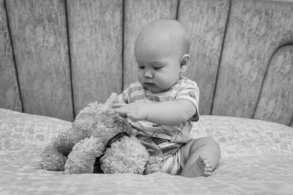 black and white classic photo, portrait, Close up of inquisitive cute baby European boy touching soft bear toy profile portrait sitting on sofa at home, pretty child playing in playroom