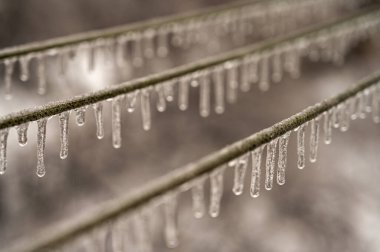 Elektrik kabloları, donmuş yağmur olayından sonra kablolar buzla kaplıdır. Seçici odak