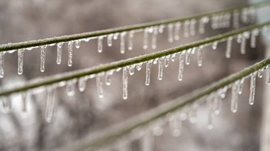 Elektrik kabloları, donmuş yağmur olayından sonra kablolar buzla kaplıdır. Seçici odak