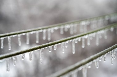 Elektrik kabloları, donmuş yağmur olayından sonra kablolar buzla kaplıdır. Seçici odak