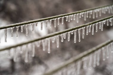 Elektrik kabloları, donmuş yağmur olayından sonra kablolar buzla kaplıdır. Seçici odak
