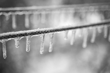 Elektrik kabloları, donmuş yağmur olayından sonra kablolar buzla kaplıdır. Seçici odak