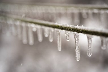 Elektrik kabloları, donmuş yağmur olayından sonra kablolar buzla kaplıdır. Seçici odak