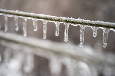 Elektrik kabloları, donmuş yağmur olayından sonra kablolar buzla kaplıdır. Seçici odak