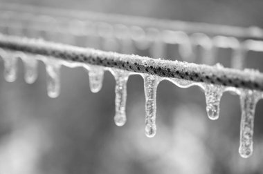 Elektrik kabloları, donmuş yağmur olayından sonra kablolar buzla kaplıdır. Seçici odak