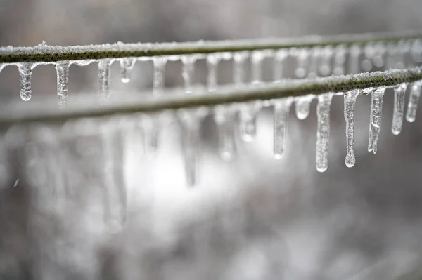 Electric cables, wires are covered with ice after the phenomenon of freezing rain. Selective focus