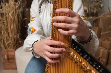 young girl plays ukrainian folk instrument, bandura, hands and strings close up