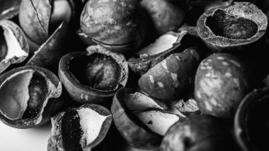 Siyah beyaz fotoğraf. Geçmişi, macadamia fındıkları gri arka planda yakın çekim fındıkları, lezzetli ve sağlıklı yiyecekler. Alçak ton