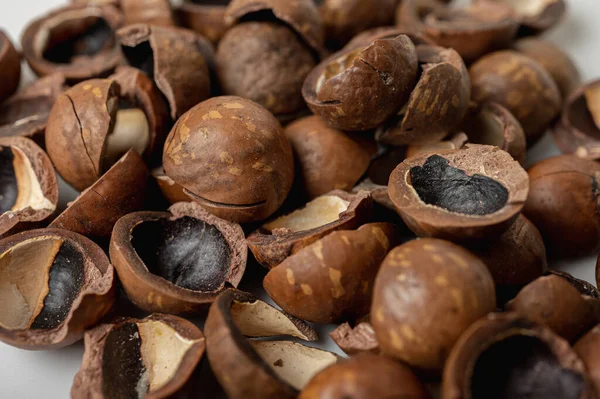 Achtergrond Macadamia Nut Shell Close Uitzicht Lekker Moer — Stockfoto