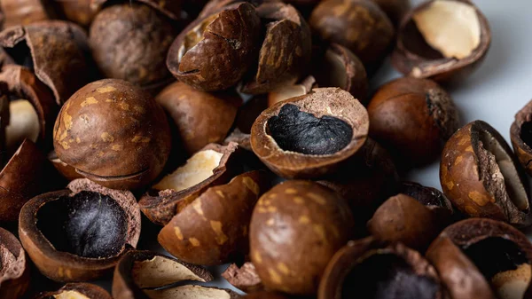 Achtergrond Macadamia Nut Shell Close Uitzicht Lekker Moer — Stockfoto