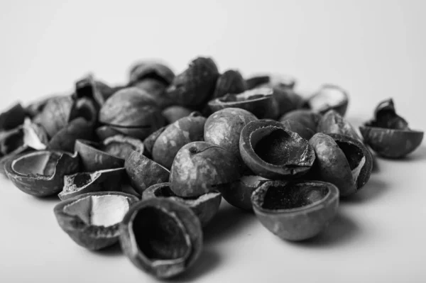 Černobílá Fotka Pozadí Makadamia Ořechy Zblízka Pohled Šedé Pozadí Chutné — Stock fotografie