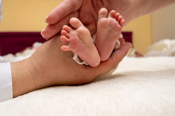 Baby feet in the hands of mother, father, older brother or sister, family. Feet of a tiny newborn close up. Little children's feet surrounded by the palms of the family. Parents and their child.