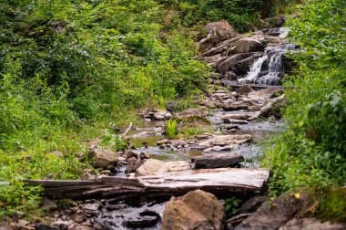 Yaz mevsimsel arka planda, yeşil orman, manzara ve ağaçlar arasında kayaların arasında akan şelale.
