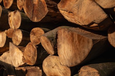 Doğranmış odun, ağaç gövdesi arka planda.