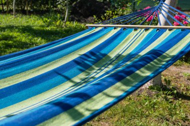 güzel mavi hamak ağaçların arasında, yeşil arka planda