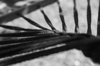 güzel mavi hamak ağaçların arasında, yeşil arka planda