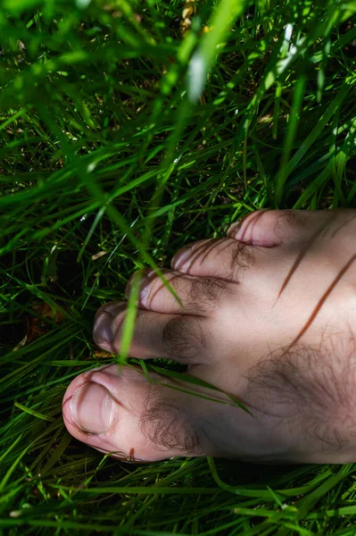 Top view, feet on green grass for background.with copy space. male legs on the green grass. a man stands barefoot on the green grass. vacation, Cropped image, incomplete view of legs, selective focus, blur